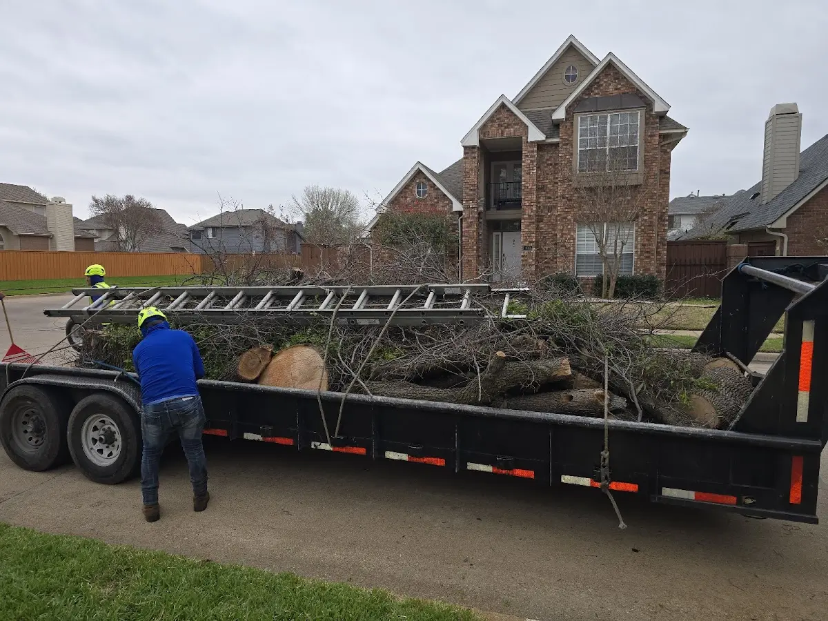 Expert Tree Pest Control with proper safety equipment in Wisconsin Dells